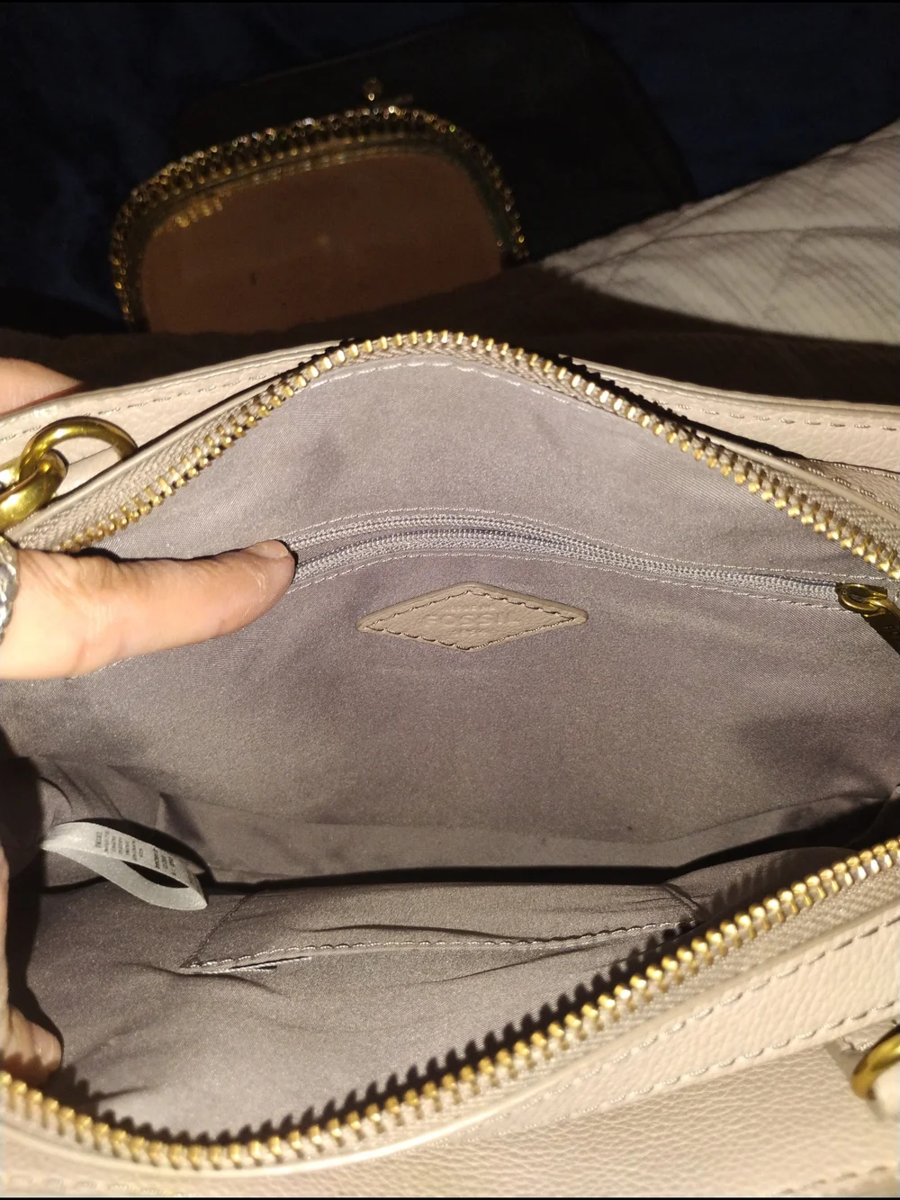 Fossil Cream and Taupe Snake Textured Satchel